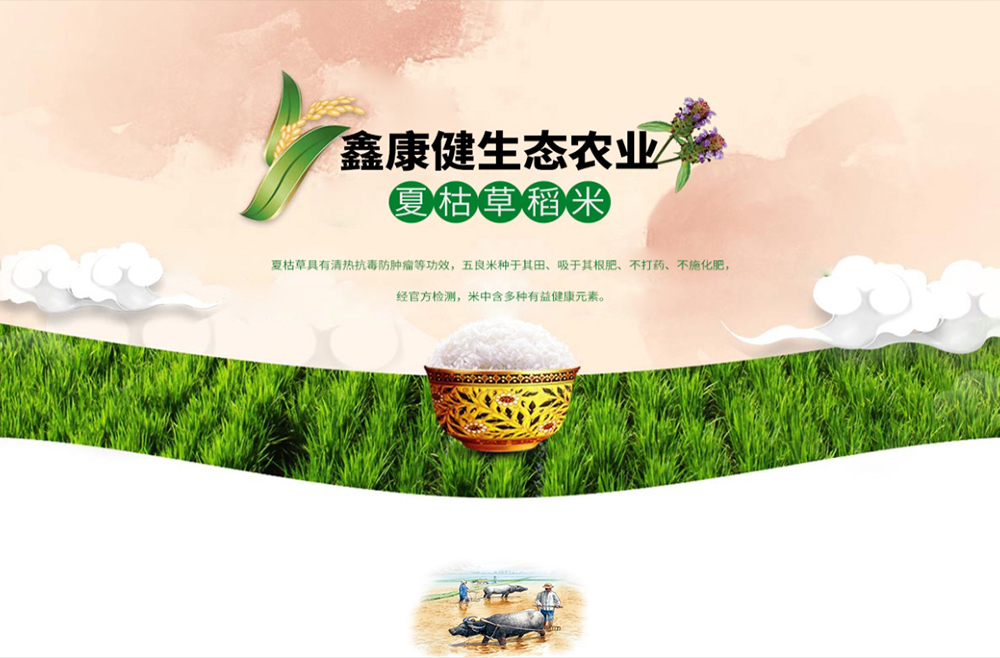 江西鑫康健生态农业开发有限公司